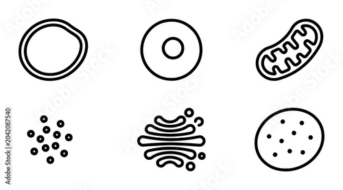 Bild auf Leinwand Cell Organelles Icons Set, Biology Science Vector Graphics, Microscopic Structur
