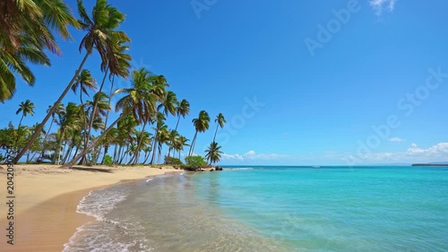 A paradise beach in the Dominican Republic on a tropical island. Coconut palms against a blue sky. Sea waves on a sandy beach. Summer landscape of the seashore on a sunny day.