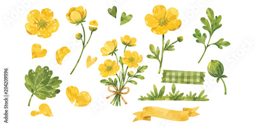 Tableau sur toile Watercolor yellow buttercup flowers and botanical elements