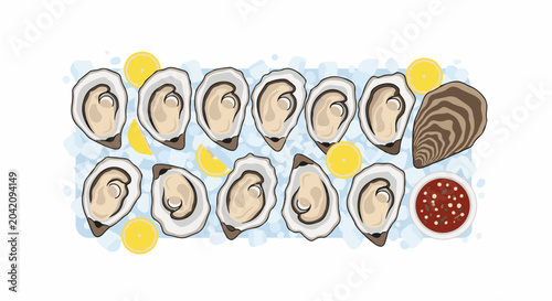 Twelve fresh oysters on ice with lemon slices and sauce