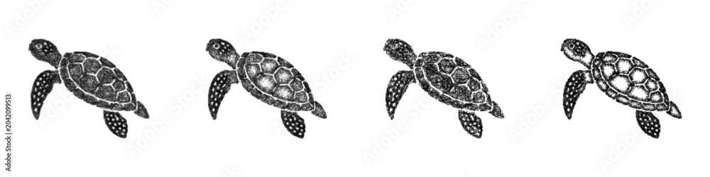 Fototapeta premium Sketch monochrome green sea turtle icon design set
