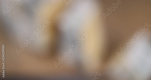 spoiled orange cheese with a lot of colorful mold, an inedible and dangerous cheese that was spoiled during the improper storage, the cheese is covered with mold dangerous to health