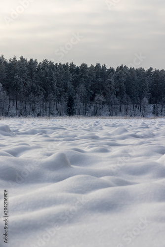 landscape on a river covered with ice and snow after snowfalls, a snow-covered forest in the background, a river in eastern Europe covered with snow with a coniferous forest on the horizon