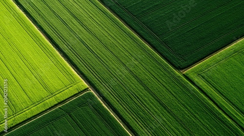 Abstract aerial view of geometric green fields and cultivated farmlands