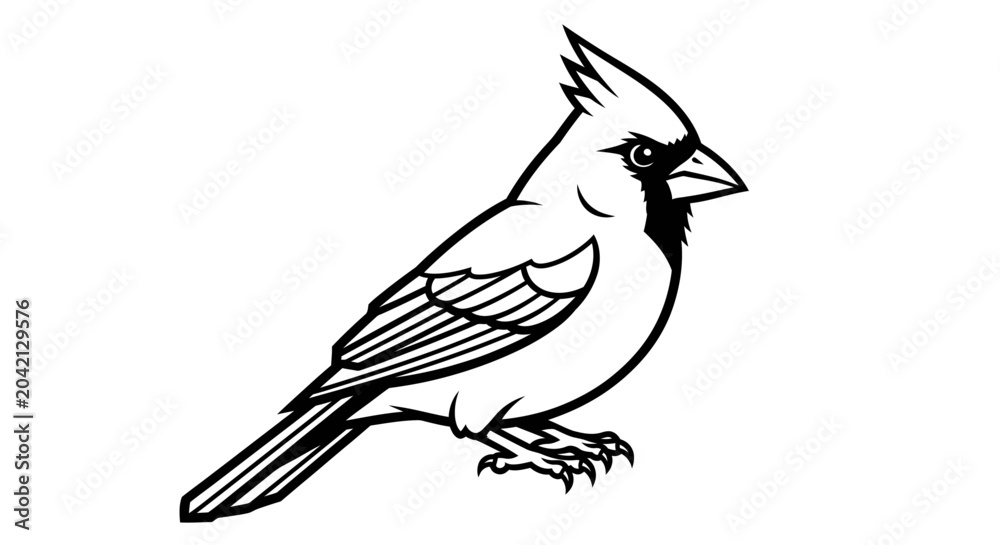 Fototapeta premium Cardinal bird illustration, black and white, simple drawing, wildlife concept