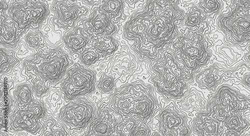 Abstract Topographic Contour Map Texture Background.