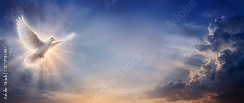 Beautiful glowing white dove on the left side of a heavenly twilight sky with radiant light rays and expansive copy space panoramic background