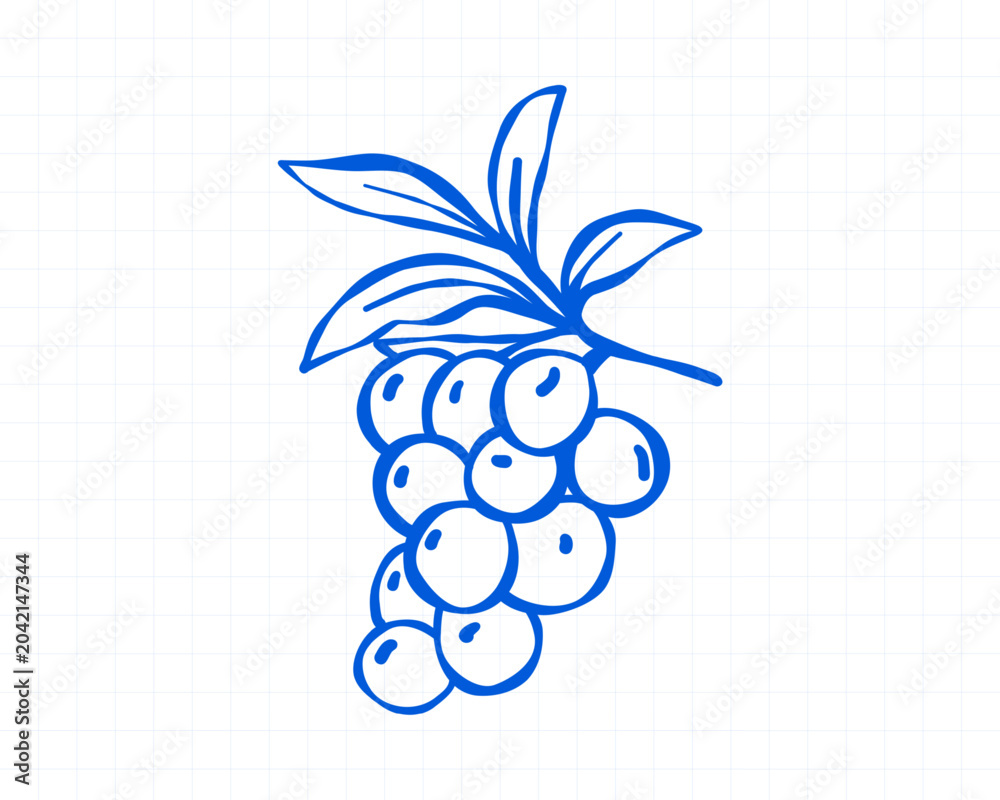 Fototapeta premium Blue line grape bunch doodle with leaves in Mediterranean vineyard style for summer wine labels, market stickers, harvest decor and botanical printables.
