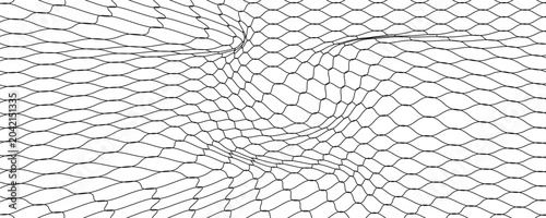 Photos Black snake skin pattern isolated on white background