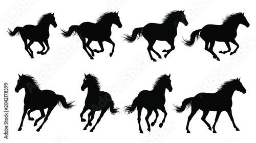 Fotografie galloping horses in silhouette animal wildlife sprint