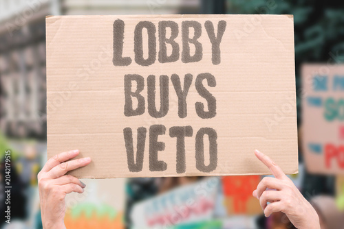 Bild auf Leinwand "Lobby buys veto" Interest groups secure blocking power