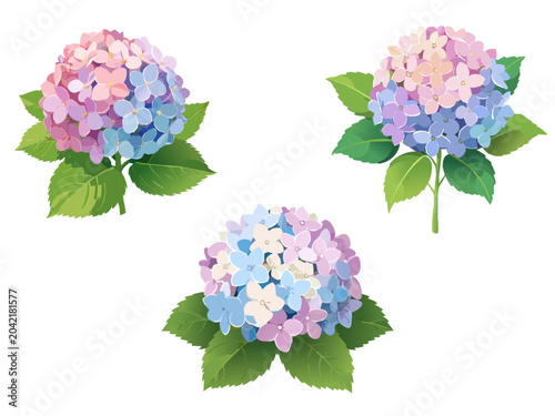 紫陽花のイラストセット