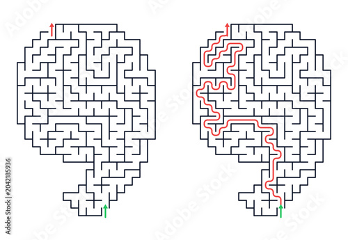 Photos Brain-shaped maze with complexity and solution path illustration