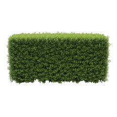 Neatly trimmed rectangular green hedge isolated on transparent background