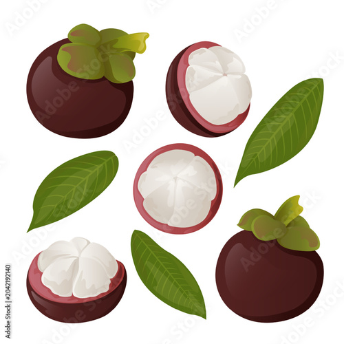 Set Mangosteen Exotic Tropical Fruits