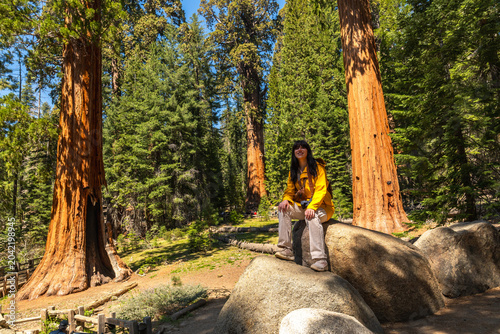 Young woman enjoying giant sequoia trees in national park