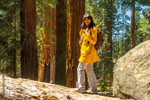 Foto Woman hiking in sequoia national park among giant trees