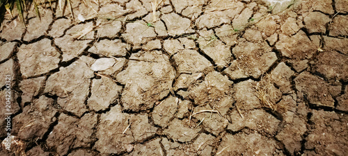 The drought-stricken land shows cracks and dryness in a rural area under the bright midday sunlight.