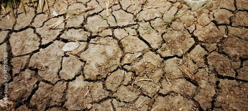 Schilderij op canvas The drought-stricken land shows cracks and dryness in a rural area under the bright midday sunlight