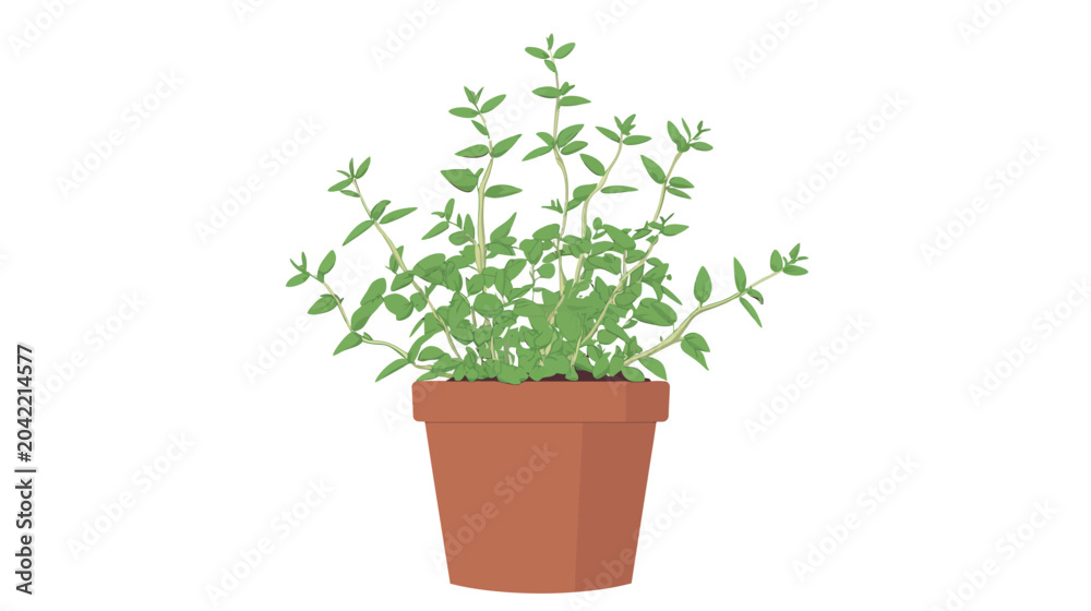 Obraz premium Stylized lush green basil plant in brown terracotta pot, neatly contained against plain white background