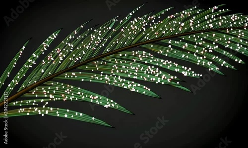 Delicate Palm Leaf with Sparkling Dots