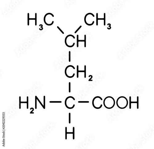 Fotografie Developed chemical structure of the leucine molecule (branched-chain amino acid)