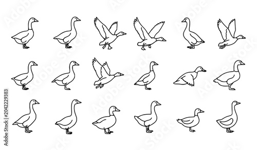 Konstfotografi Minimalist Goose and Duck Poultry Bird Line Art Collection with Floating Walking