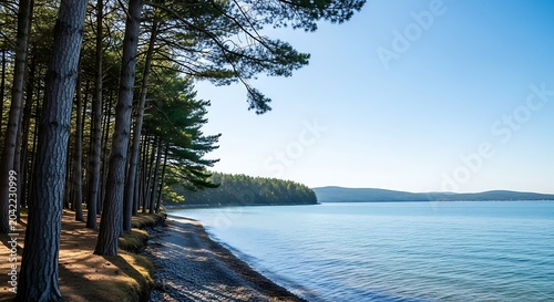 Tall pines border a serene, sunlit lake with calm, blue water