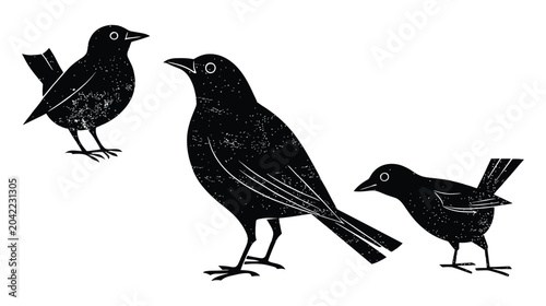 Birds black illustration with three birds on white background