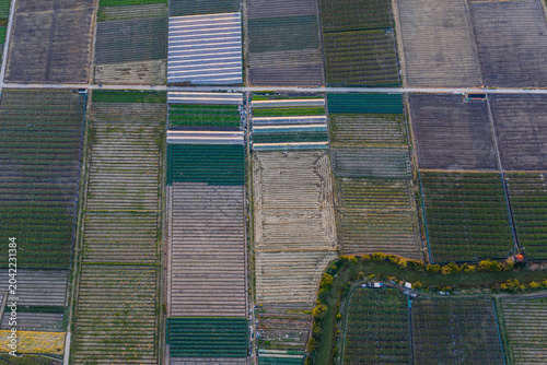 Aerial patchwork farmland in Wenling, Zhejiang, China