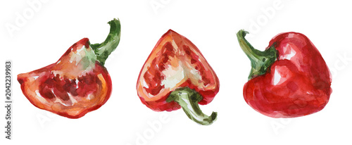 Bild auf Leinwand Hand painted watercolor red pepper trio featuring whole and sliced peppers isolated on white background
