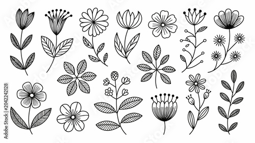 Konstfotografi black floral illustrations on white background flowers botanical illustration li