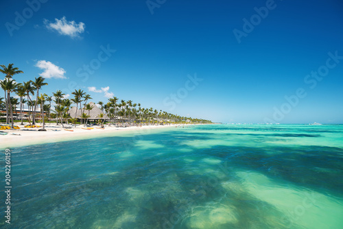 Palm trees on the tropical beach, Punta Cana, Dominican Republic