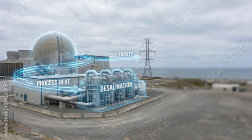 Nuclear Power Plant Integrated with Desalination Facility for Cogeneration of Electricity and Fresh Water