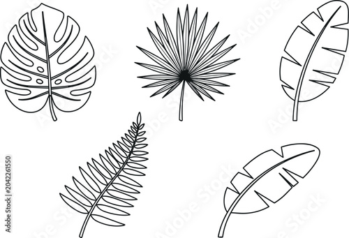 Photos Tropical leaves vector set featuring black outline illustrations of monstera fan