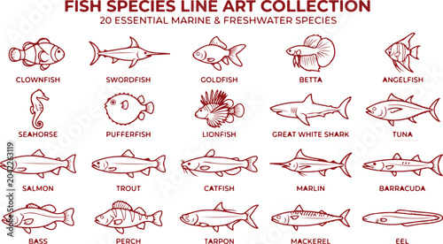 Bild auf Leinwand Fish species line art collection featuring 20 essential marine and freshwater animals like clownfish swordfish goldfish betta angelfish
