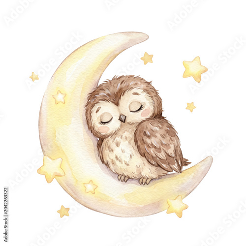 Cute Watercolor Sleeping Baby Owl on a Moon Isolated on White