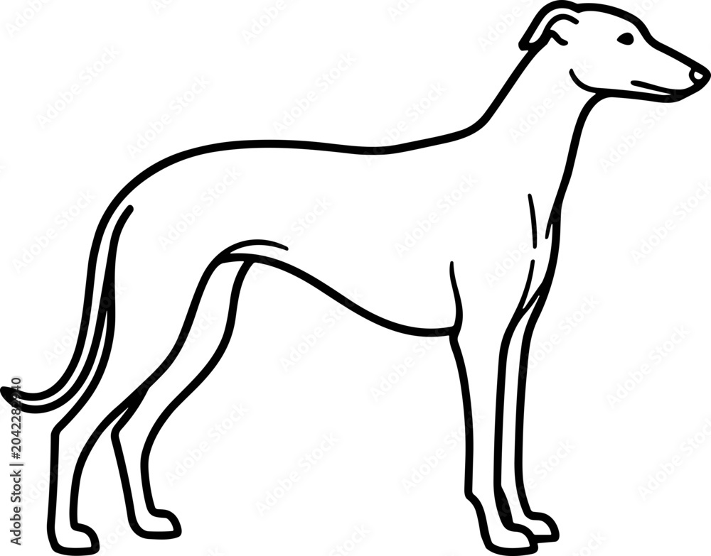 Fototapeta premium Elegant Greyhound Silhouette Drawing, Minimalist Line Art of a Sighthound Dog