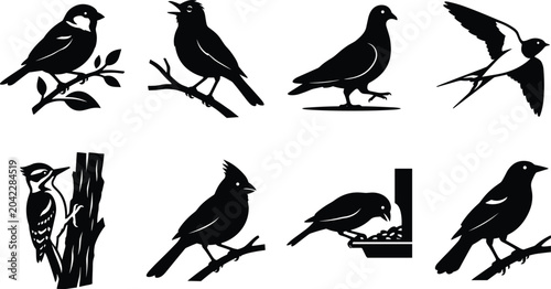 Tableau sur toile Set of black bird silhouettes isolated on white background featuring sparrow swa