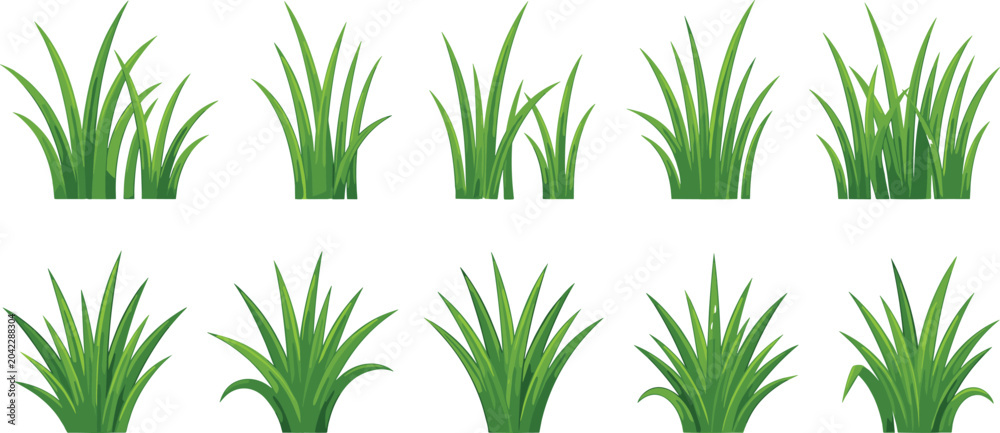 Obraz premium Set of green grass clumps and tufts vector illustrations isolated on white for spring landscape design