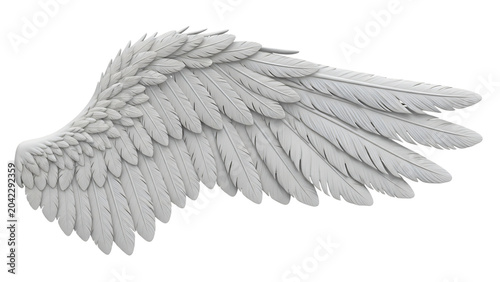 White wing on black background with shadow wing and the wingtips of.