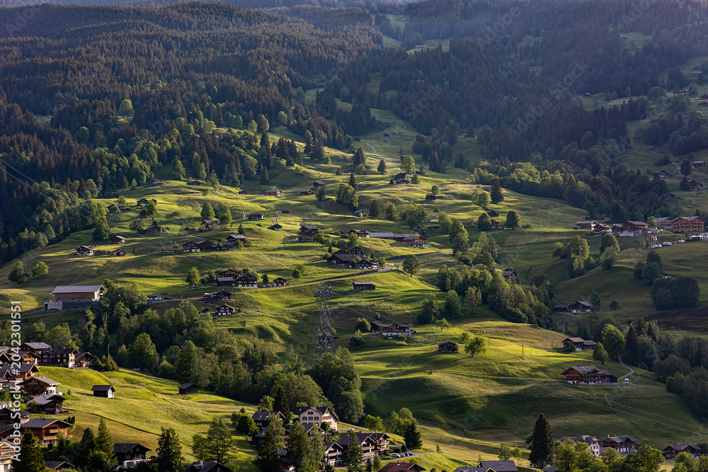 Fototapeta premium Lush green over the famous Grindelwald meadows with traditional chalets in sommer afternoon sun, Swiss Alps
