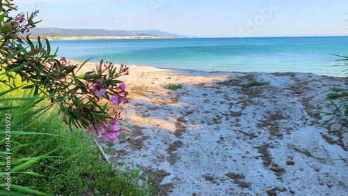 Slow motion vertical reveal from sandy beach to the sea in Alghero, Sardinia. Cinematic coastal transition with Mediterranean waves and summer travel atmosphere.