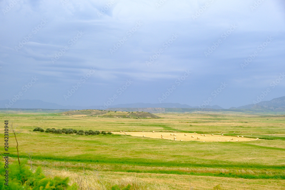 Fototapeta premium Golden Hay Bales in a Verdant Meadow