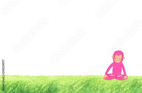 Canvas Print a meditating pink monkey