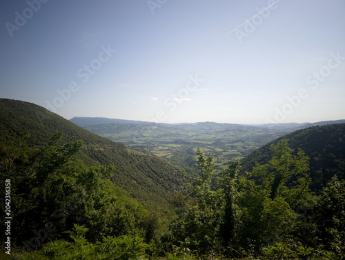Fotografía valle verde tra due colline boscose, con vegetazione fitta in primo piano e ciel