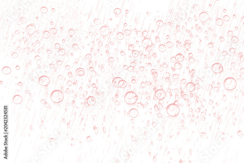 Photos Effervescent pink bubbles on white background, sparkling rose wine carbonation,