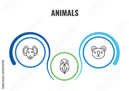 Obraz na płótnie animals outline icon set