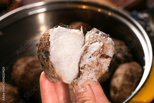 Schilderij op canvas Fresh Peeled Taro Root in Hand Over Pot