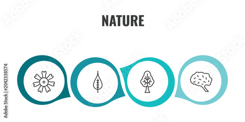 фотографія nature outline icon set